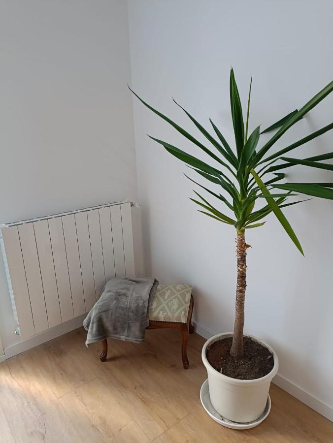 Apartament Ocean Orio Zewnętrze zdjęcie